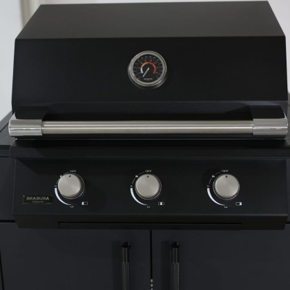 Brabura Fusion 300 LITE Built-In